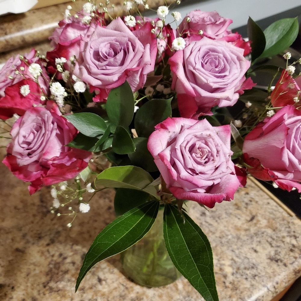 Meet your Posher, Holly